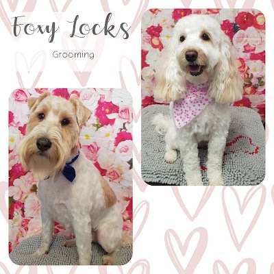 Grooming Van Image