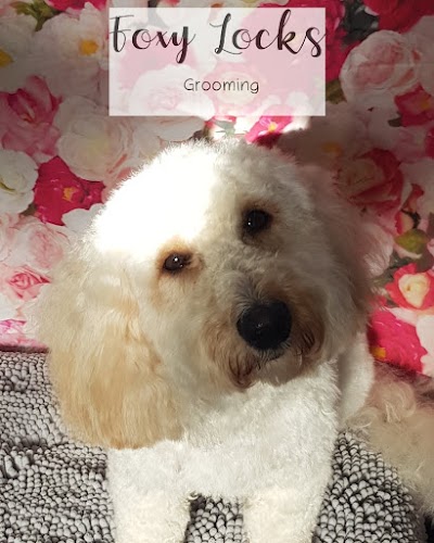 Grooming Van Image