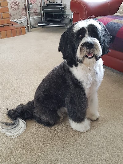 Grooming Van Image
