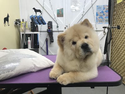 Grooming Van Image