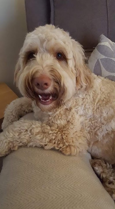 Grooming Van Image