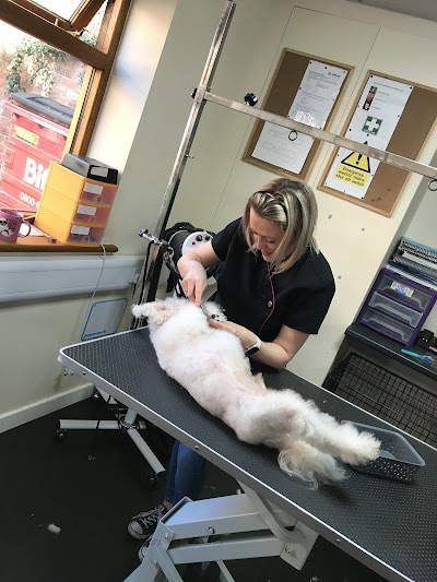 Grooming Van Image
