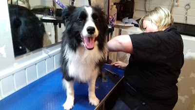 Grooming Van Image