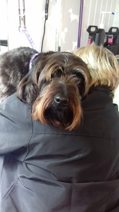 Grooming Van Image