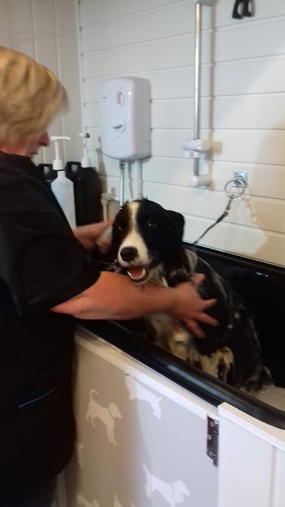 Grooming Van Image