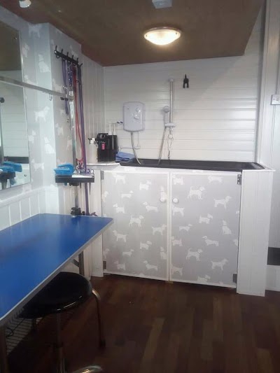Grooming Van Image