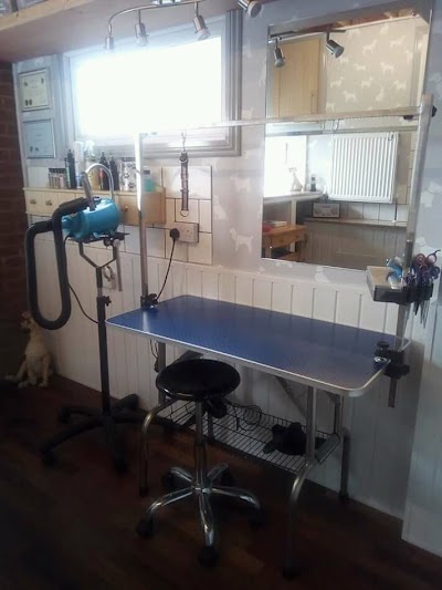 Grooming Van Image