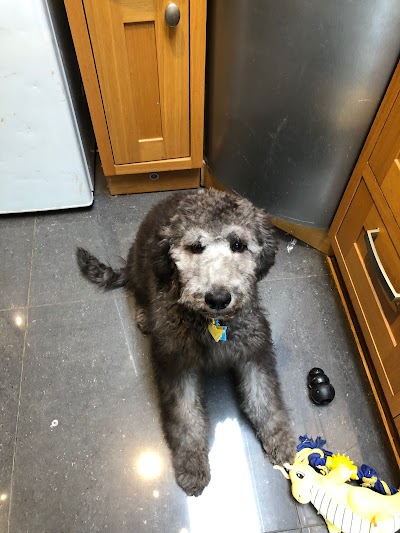 Glen Acres Dog Grooming