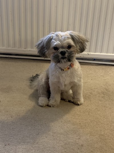 Grooming Van Image