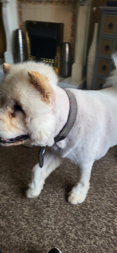 Grooming Van Image