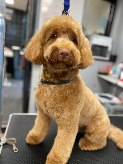 Grooming Van Image