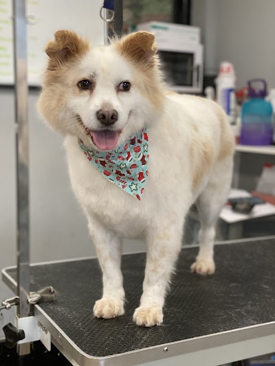 Grooming Van Image