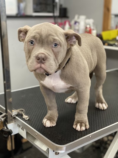 Grooming Van Image