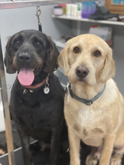 Grooming Van Image