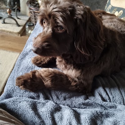 Grooming Van Image