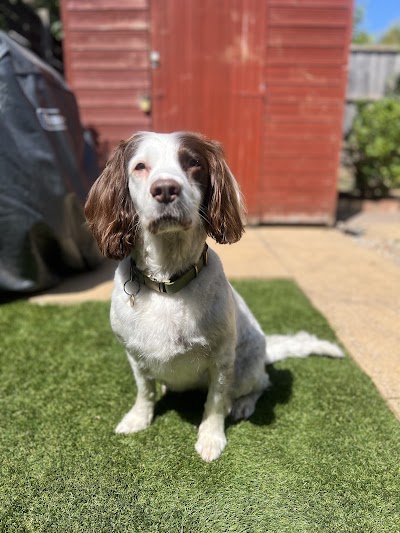 Grooming Van Image