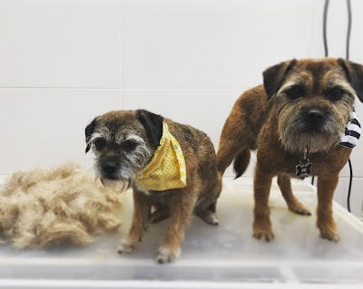 Grooming Van Image