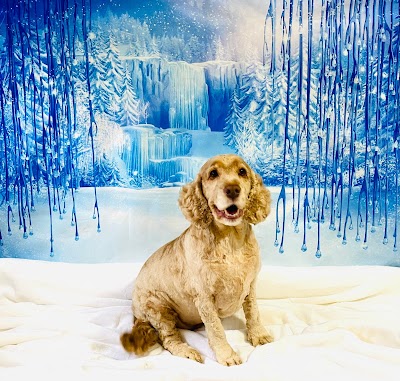 Grooming Van Image