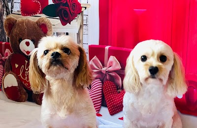 Grooming Van Image