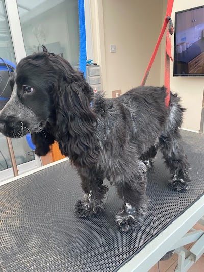 Grooming Van Image