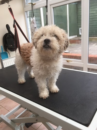 Grooming Van Image