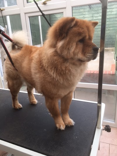 Grooming Van Image