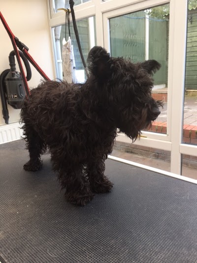 Grooming Van Image