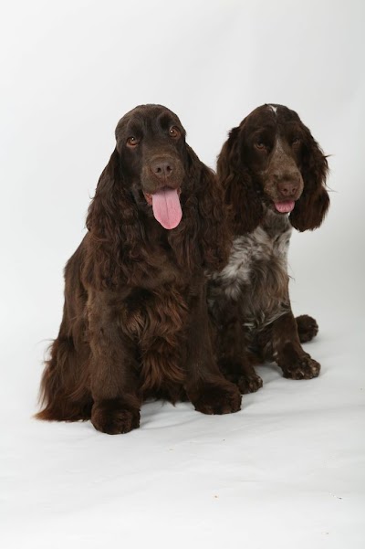 Grooming Van Image
