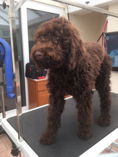 Grooming Van Image