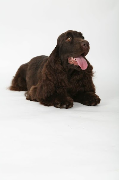 Grooming Van Image