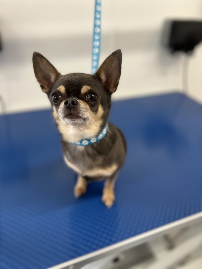 Grooming Van Image