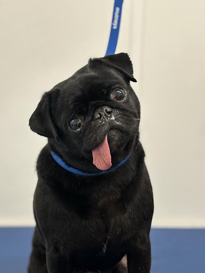 Grooming Van Image
