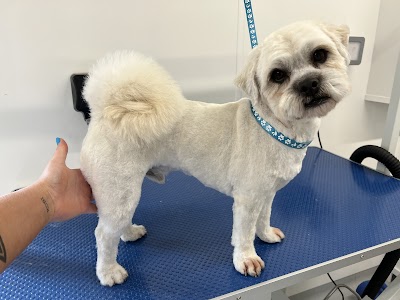 Kobi's Kutz Dog Groomers Worcester