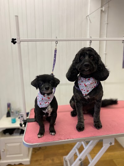Grooming Van Image