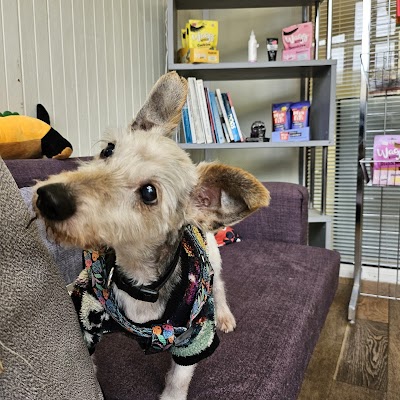 Grooming Van Image