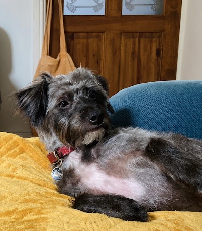 Grooming Van Image