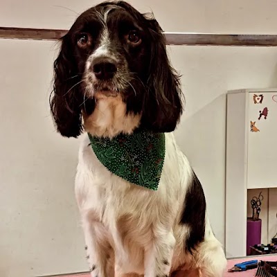 Grooming Van Image