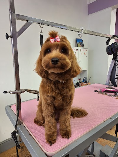 MK Dog Grooming