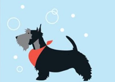 Malvern Dog Grooming