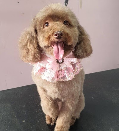 Grooming Van Image