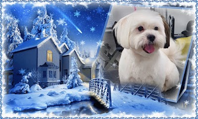 Grooming Van Image
