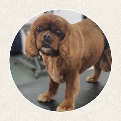 Grooming Van Image