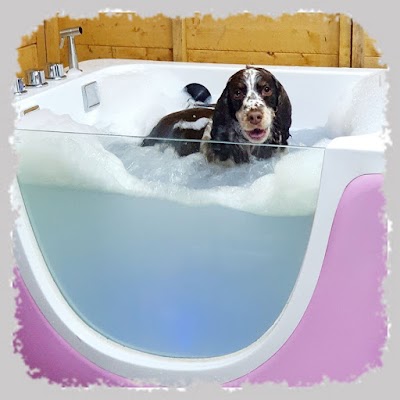 Grooming Van Image