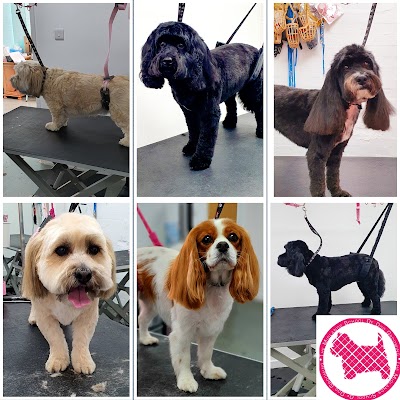 Millie's Paws Grooming Studio/The Midlands School of Dog Grooming