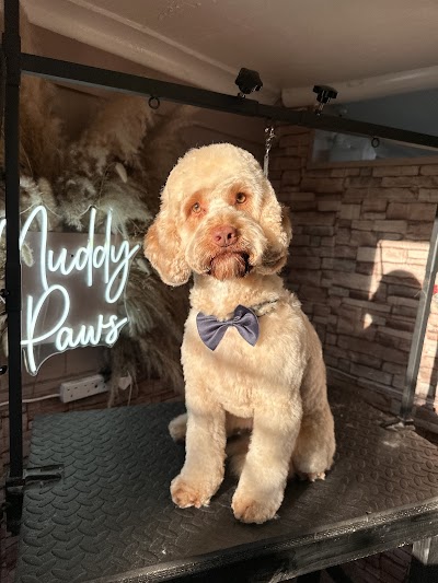Grooming Van Image