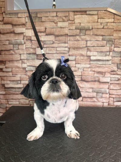 Grooming Van Image