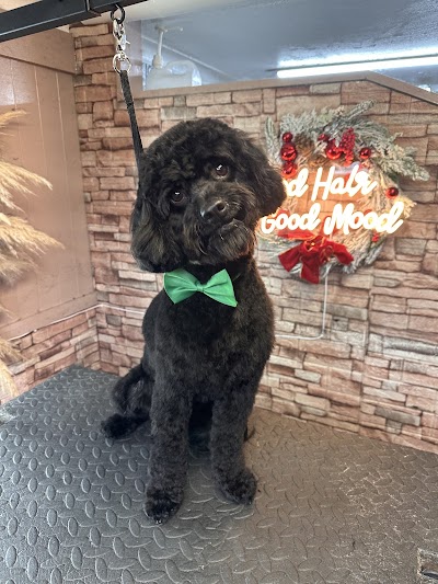 Grooming Van Image