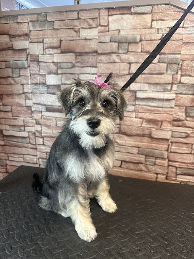 Grooming Van Image