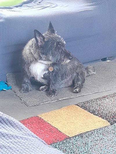 Grooming Van Image