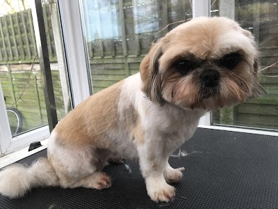 Grooming Van Image